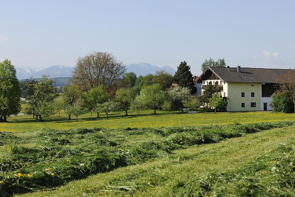 Appartamento Koellhof Höslwang Esterno foto