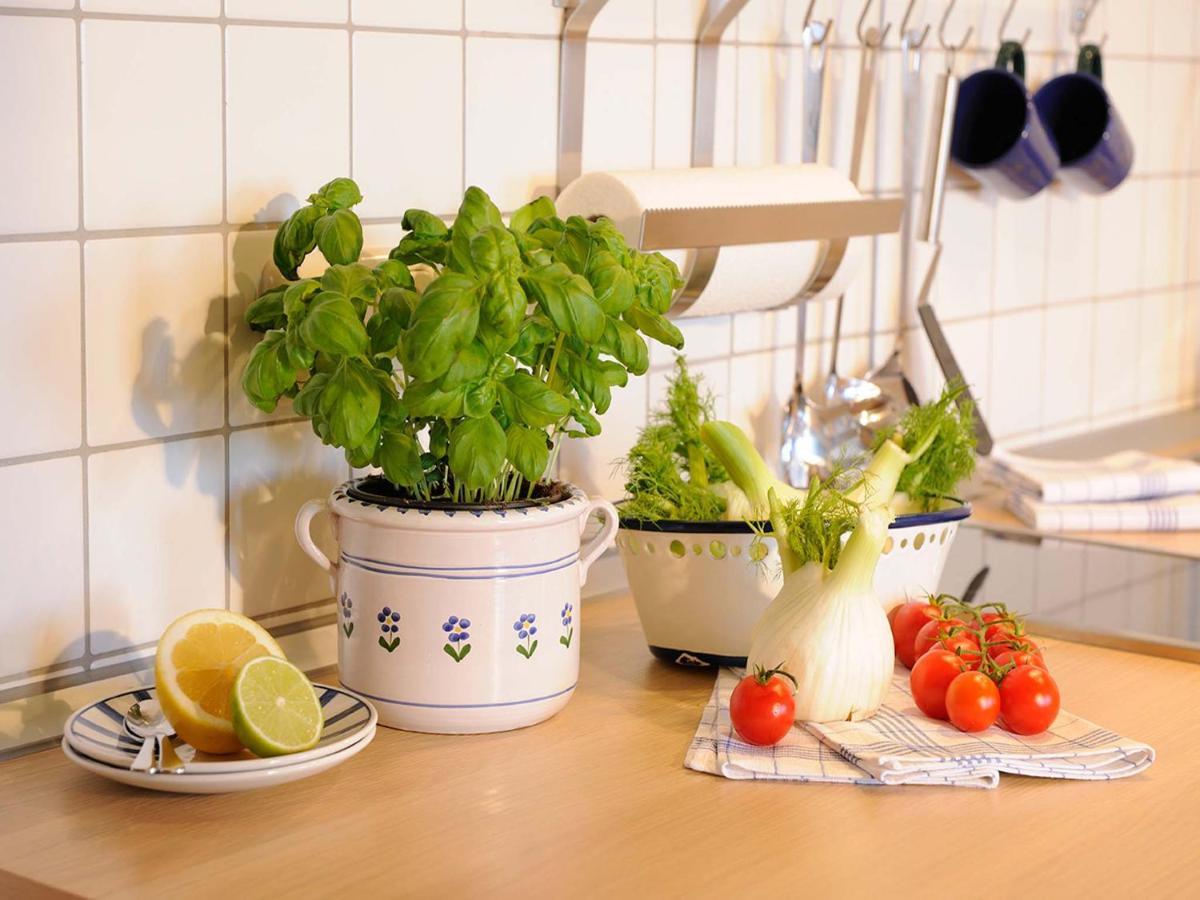 Appartamento Koellhof Höslwang Esterno foto